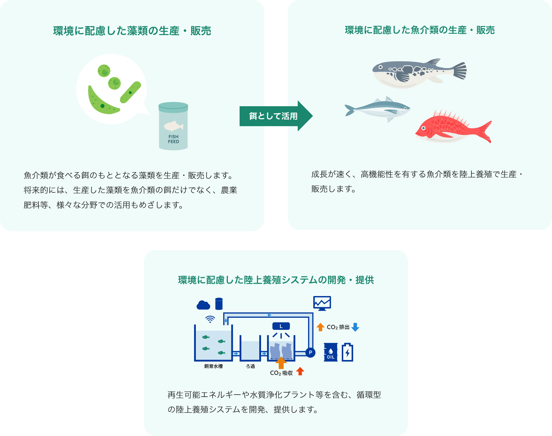 【環境に配慮した藻類の生産・販売】魚介類が食べる餌のもととなる藻類を生産・販売します。 将来的には、生産した藻類を魚介類の餌だけでなく、農業肥料等、様々な分野での活用もめざします。 〈餌として活用〉 【環境に配慮した魚介類の生産・販売】成長が速く、高機能性を有する魚介類を陸上養殖で生産・販売します。 【環境に配慮した陸上養殖システムの開発・提供】再生可能エネルギーや水質浄化プラント等を含む、循環型の陸上養殖システムを開発、提供します。