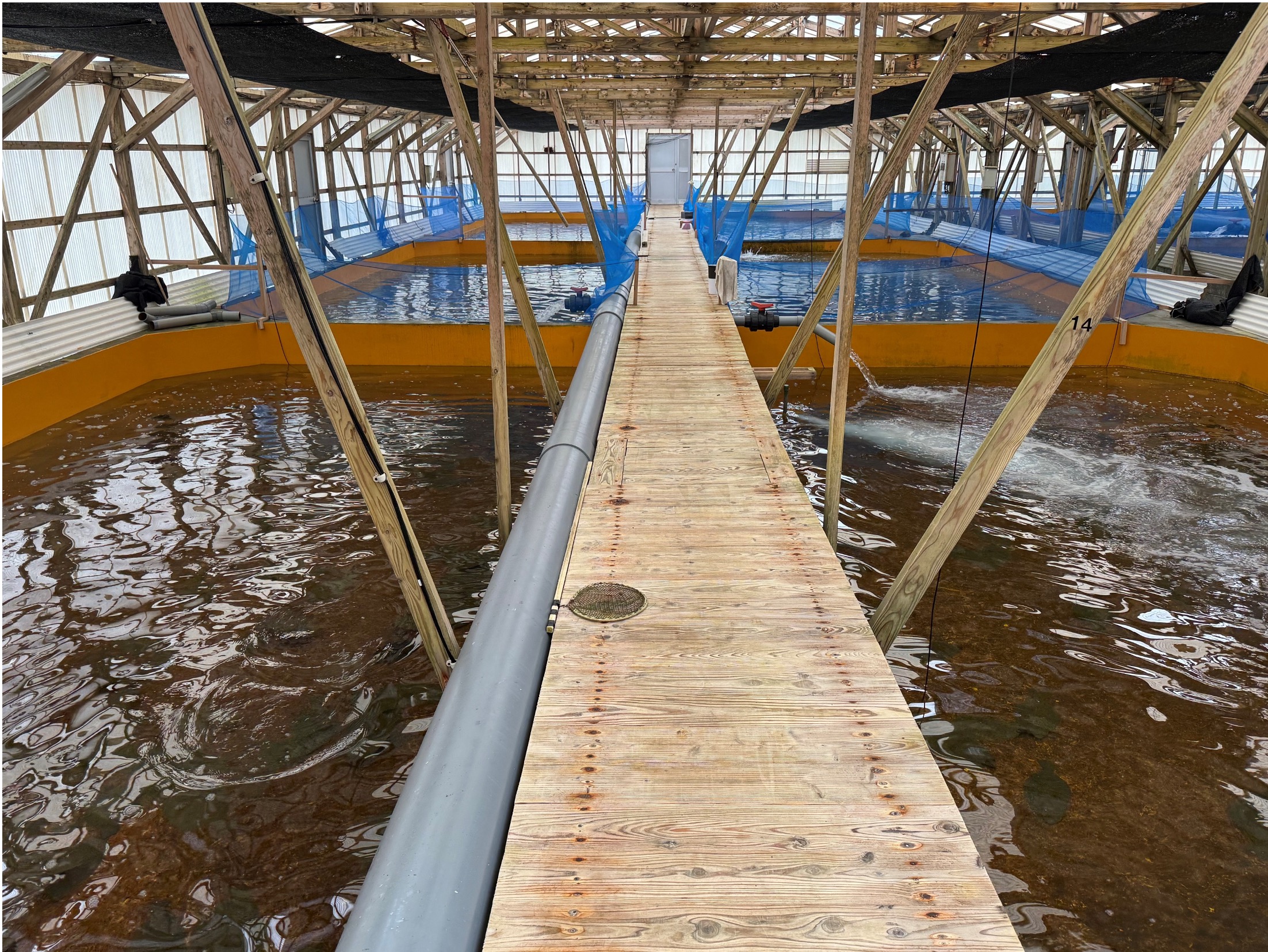えび・ヒラメの陸上養殖（鹿児島県阿久根市）